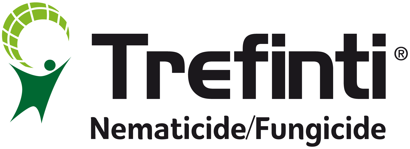 Trefinti